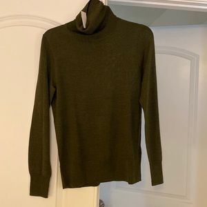 NWT Turtleneck Sweater